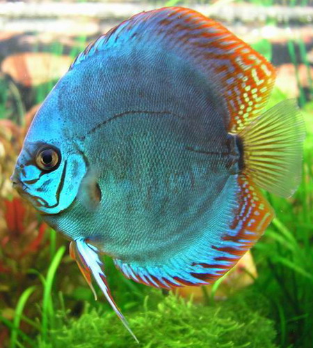 Resize of P1010308.jpg