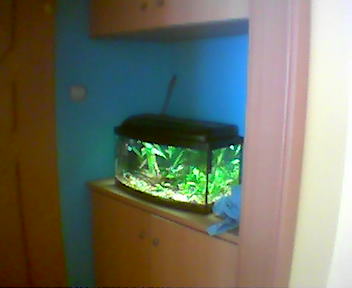 miejsce na aqua002.jpg