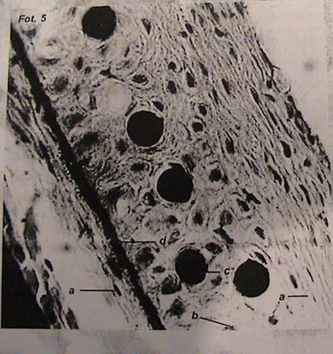 5,6,7,8,9,10,11 001.jpg