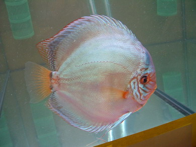 NKPUM_Bildgröße ändern.jpg