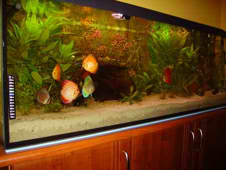 Resize of IMGP1002.jpg