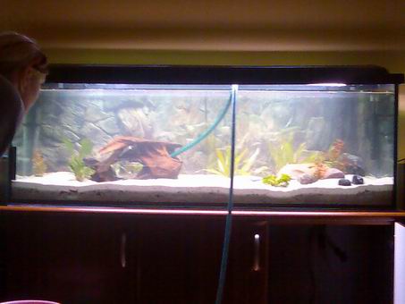 Resize of Zdjęcie271.jpg