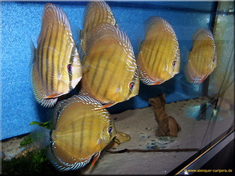 051026_01_Bildgröße ändern.jpg