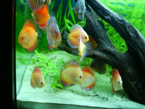 Resize of zdjęcie 019.jpg