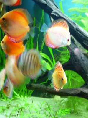 Resize of Rotation of zdjęcie 037.jpg