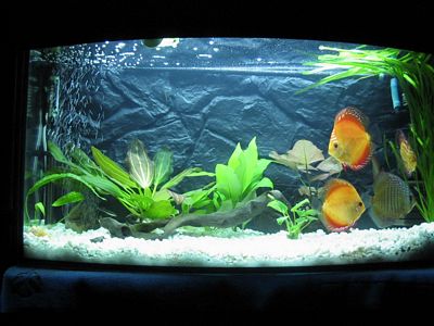 tn_20.03 009 (9).jpg