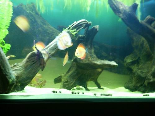 Resize of zdjęcie 028.jpg