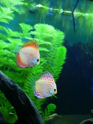 Resize of Rotation of zdjęcie 034.jpg