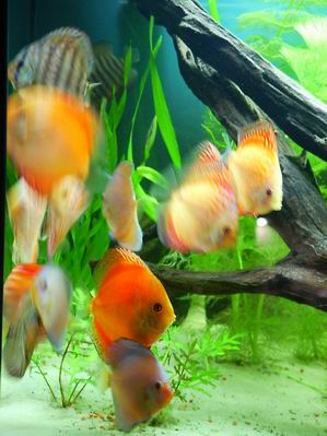 Resize of Rotation of zdjęcie 033.jpg