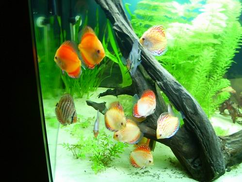 Resize of zdjęcie 016.jpg