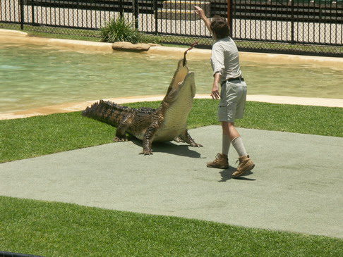 australiazoo 045_resize.jpg