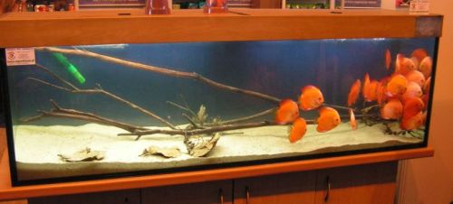 chorzow - wystawa 092.jpg