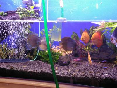 2005-05-17 008 1.jpg