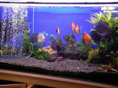 2005-05-17 010 1.jpg