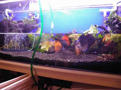 2005-05-18 004 1.jpg