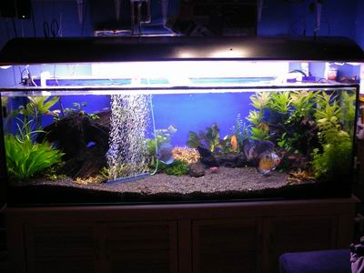 2005-05-18 007 1.jpg