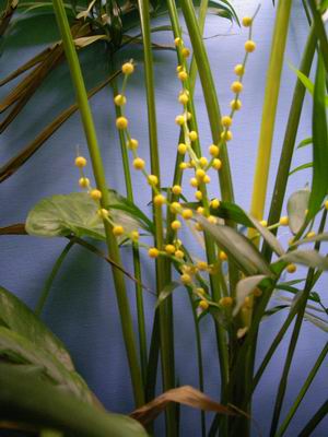 2005-05-20 005 1.jpg