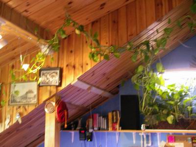 2005-05-20 009 1.jpg