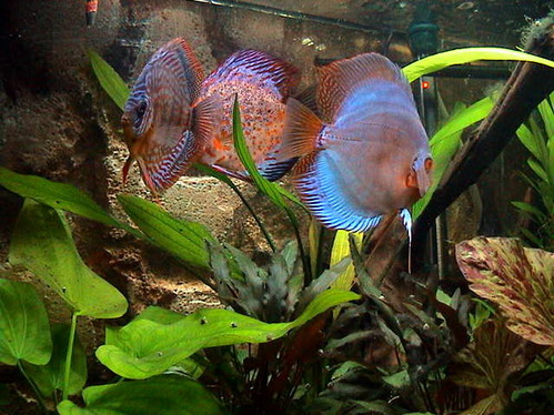 heute 27.02.05 009_Bildgröße ändern.jpg