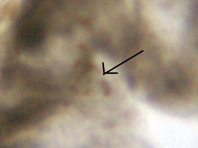 2005-05-26 032 a.jpg