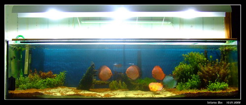 day26we9_Bildgröße ändern.jpg