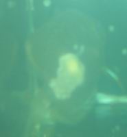 Zmiana rozmiaruIMG_0498.JPG