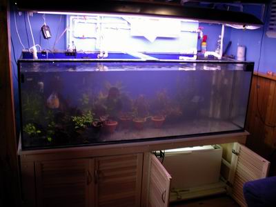 8 godzin później.jpg