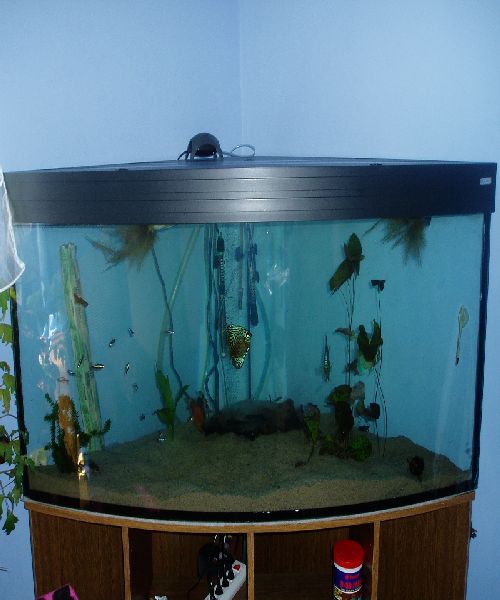 oaza spokoju pkmd2.jpg