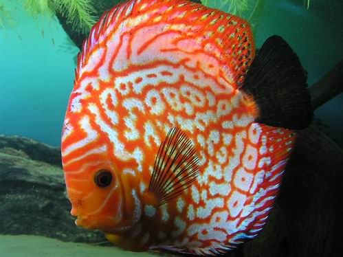 Resize of Obraz 034.jpg