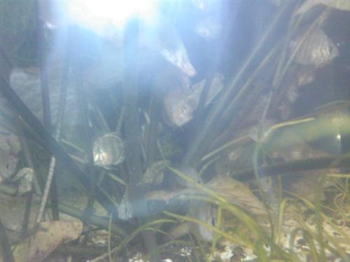 Zdjęcie0455 (Custom).jpg