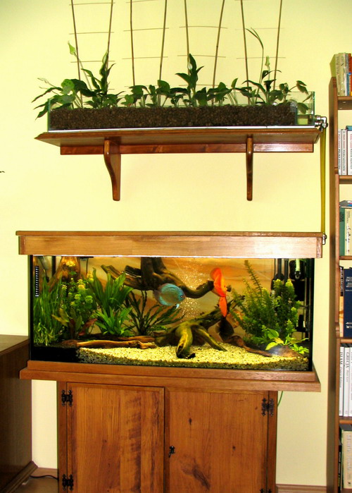 hydroponika 096 01.jpg