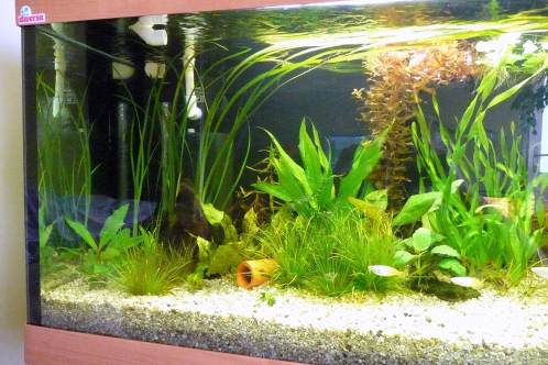 Akwarium_ok.JPG