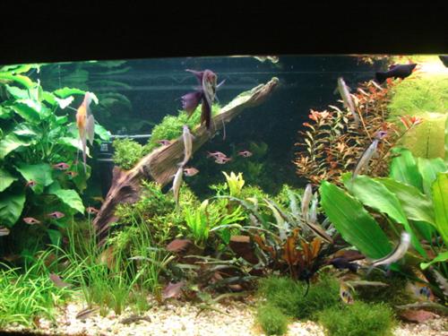 DSC05456 (Custom).JPG