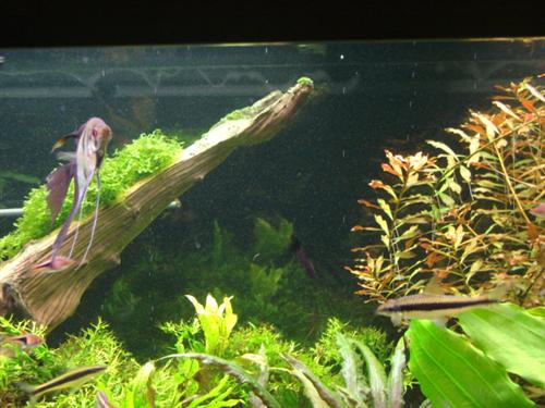 DSC05455 (Custom).JPG