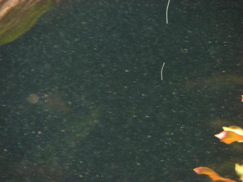 DSC05454 (Custom).JPG