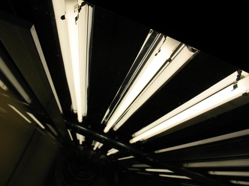 z odbłyśnikami 2.jpg