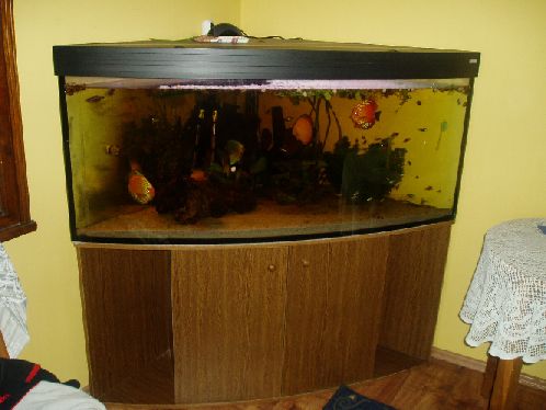 akwarium na sprzedaż1.jpg