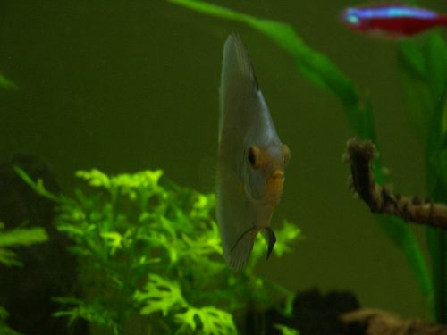 ta najodważniejsza.jpg