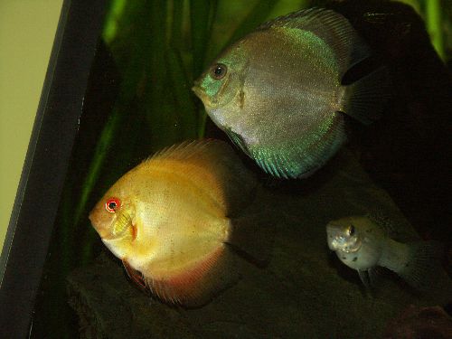 molinezji już nie ma.jpg