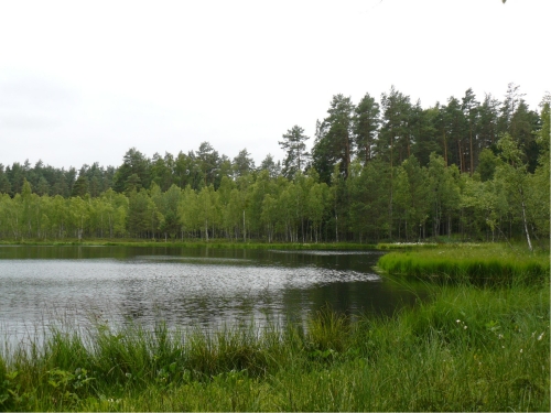 P1010780 [Rozdzielczość Pulpitu].jpg