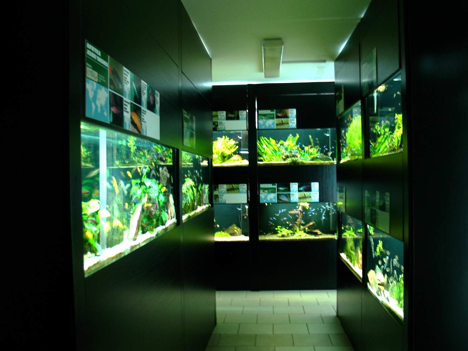 Fragment ekspozycji na stałej wystawie - mini.JPG