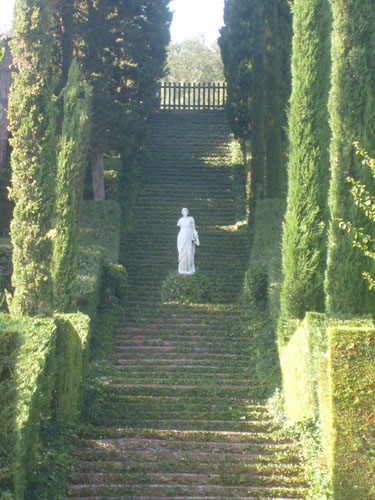 garden1.jpg