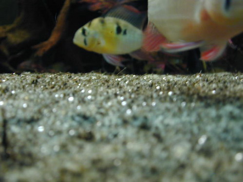 dscn0010_177_Bildgröße ändern.jpg