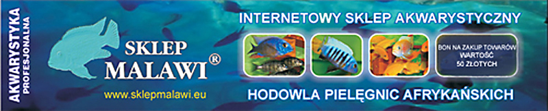 kopia-baner-malawi kopia.jpg